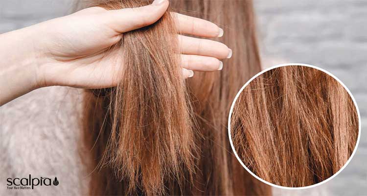 خرید ماسک موهای خشک و اسیب دیده