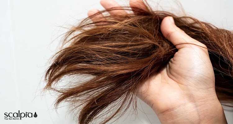 موهای خشک و اسیب دیده 